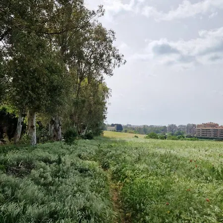 La Stanza Degli Abeti Blu Privatunterkunft *