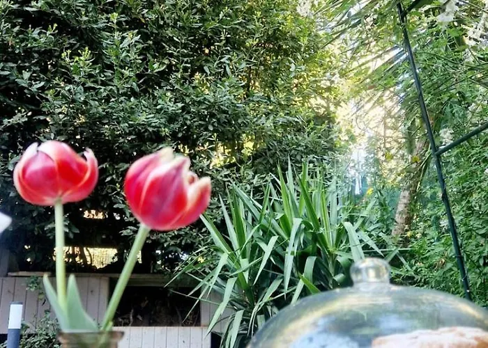 Séjour chez l'habitant La Stanza Degli Abeti Blu *