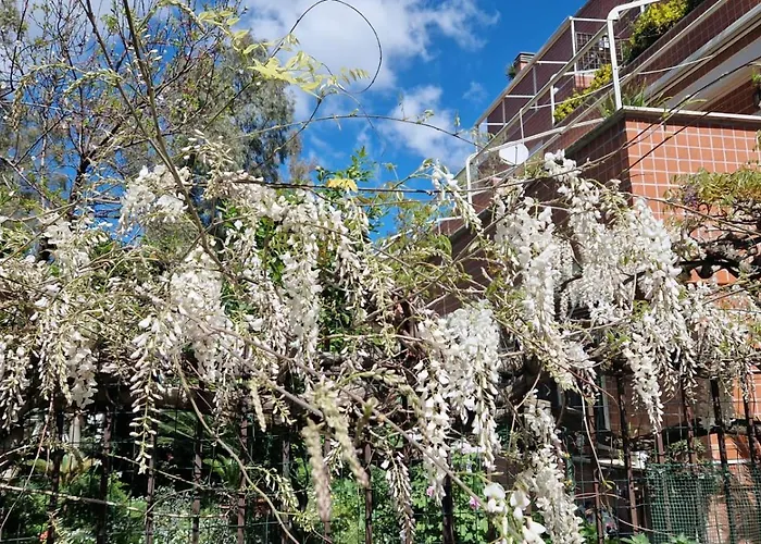La Stanza Degli Abeti Blu Rome