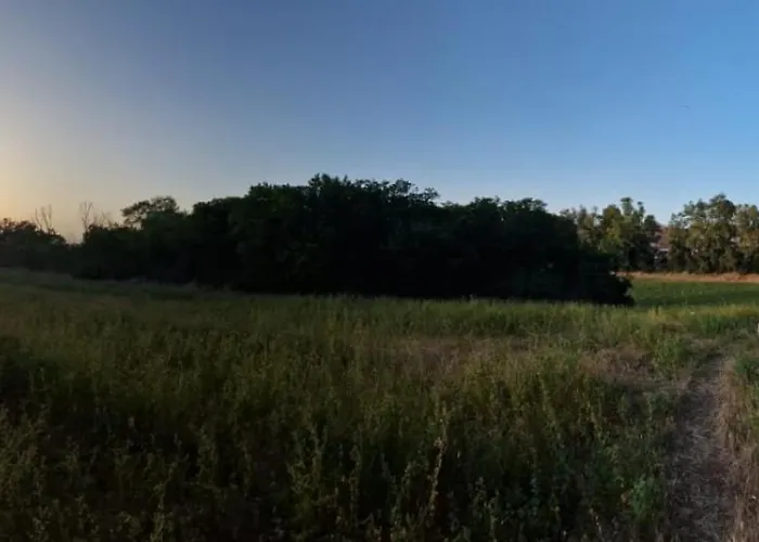 La Stanza Degli Abeti Blu