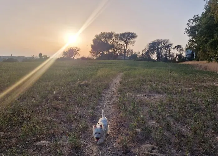 Séjour chez l'habitant La Stanza Degli Abeti Blu *