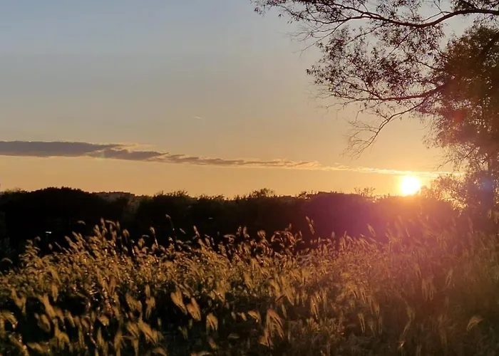 La Stanza Degli Abeti Blu * Rome