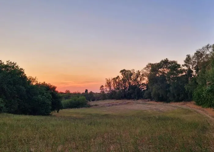 Séjour chez l'habitant La Stanza Degli Abeti Blu Rome