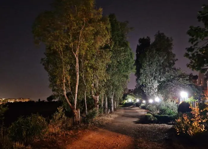 La Stanza Degli Abeti Blu