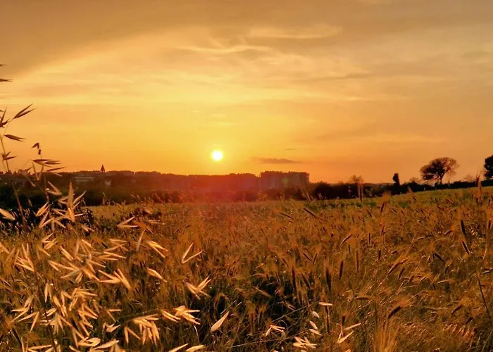 La Stanza Degli Abeti Blu Rome