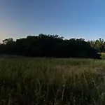 La Stanza Degli Abeti Blu